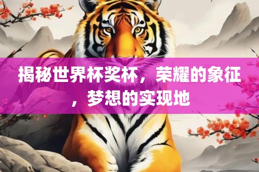 揭秘世界杯奖杯，荣耀的象征，梦想的实现地