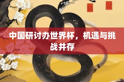 中国研讨办世界杯，机遇与挑战并存