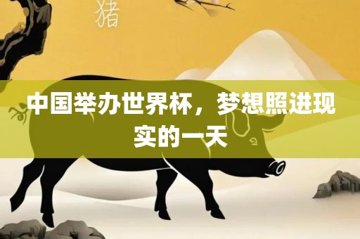 中国举办世界杯，梦想照进现实的一天