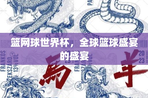 篮网球世界杯，全球篮球盛宴的盛宴