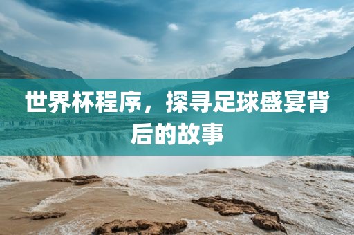 世界杯程序，探寻足球盛宴背后的故事