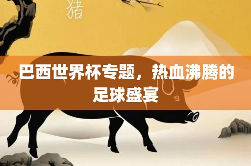 巴西世界杯专题，热血沸腾的足球盛宴