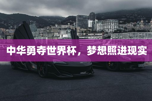 中华勇夺世界杯，梦想照进现实