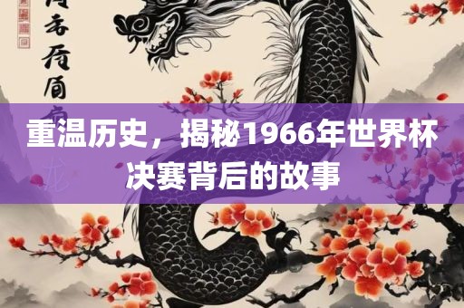 重温历史，揭秘1966年世界杯决赛背后的故事