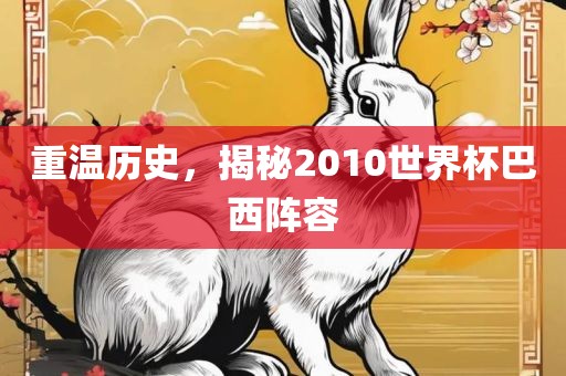 重温历史，揭秘2010世界杯巴西阵容