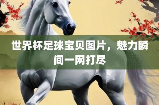 世界杯足球宝贝图片，魅力瞬间一网打尽