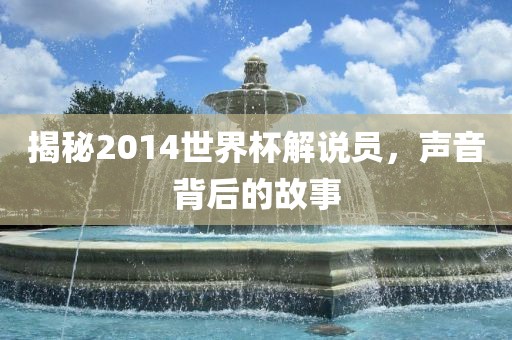 揭秘2014世界杯解说员，声音背后的故事