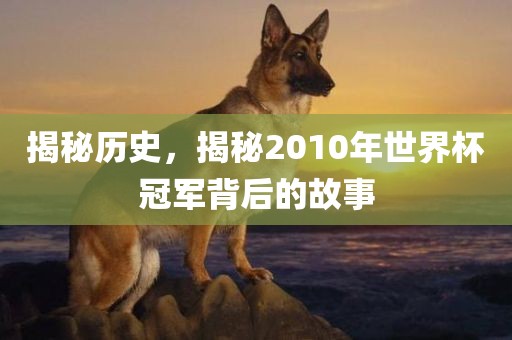 揭秘历史，揭秘2010年世界杯冠军背后的故事