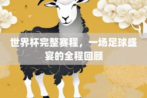 世界杯完整赛程，一场足球盛宴的全程回顾