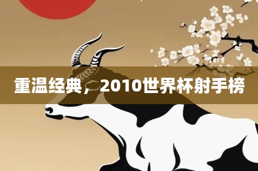 重温经典，2010世界杯射手榜