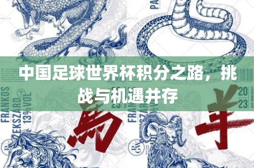 中国足球世界杯积分之路，挑战与机遇并存