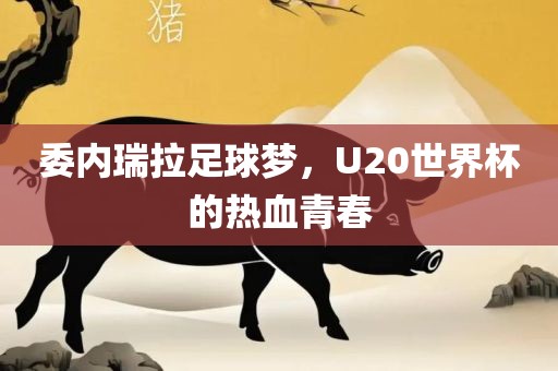 委内瑞拉足球梦，U20世界杯的热血青春
