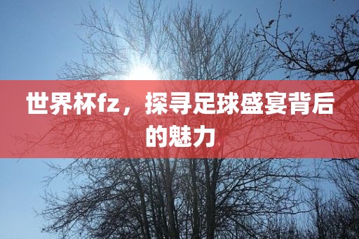 世界杯fz，探寻足球盛宴背后的魅力