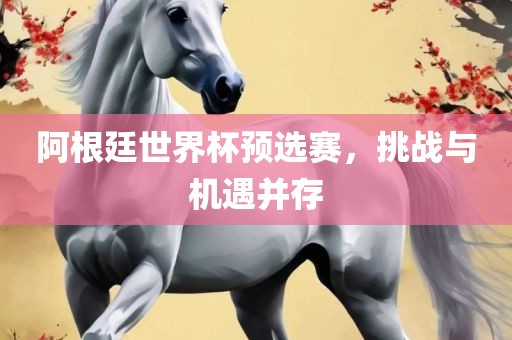阿根廷世界杯预选赛，挑战与机遇并存