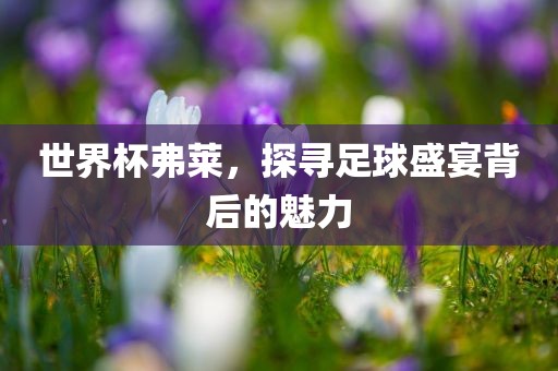 世界杯弗莱，探寻足球盛宴背后的魅力