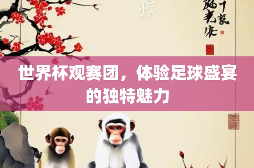 世界杯观赛团，体验足球盛宴的独特魅力