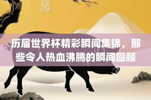 历届世界杯精彩瞬间集锦，那些令人热血沸腾的瞬间回顾