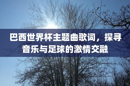 巴西世界杯主题曲歌词，探寻音乐与足球的激情交融