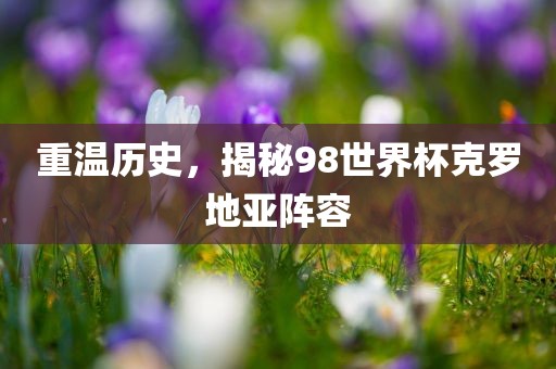 重温历史，揭秘98世界杯克罗地亚阵容