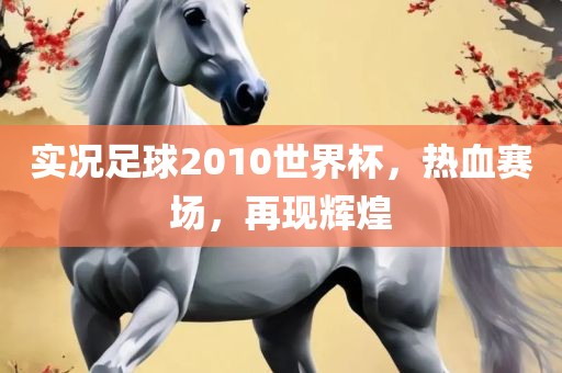 实况足球2010世界杯，热血赛场，再现辉煌