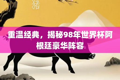 重温经典，揭秘98年世界杯阿根廷豪华阵容