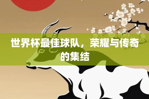 世界杯最佳球队，荣耀与传奇的集结