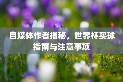 自媒体作者揭秘，世界杯买球指南与注意事项
