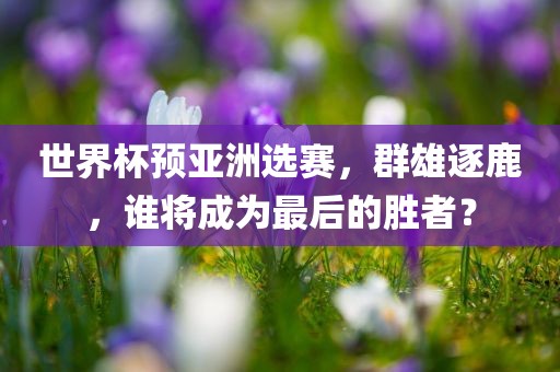 世界杯预亚洲选赛，群雄逐鹿，谁将成为最后的胜者？