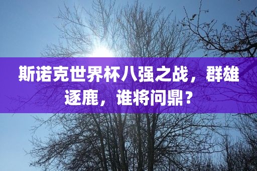 斯诺克世界杯八强之战，群雄逐鹿，谁将问鼎？