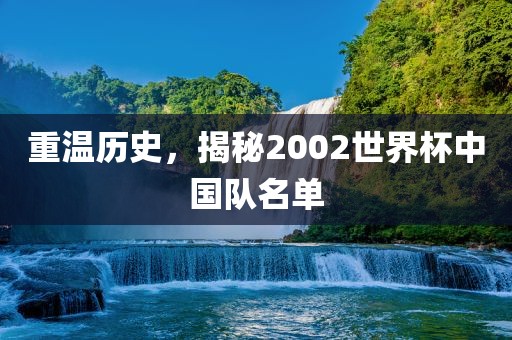 重温历史，揭秘2002世界杯中国队名单
