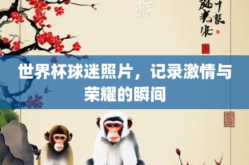 世界杯球迷照片，记录激情与荣耀的瞬间
