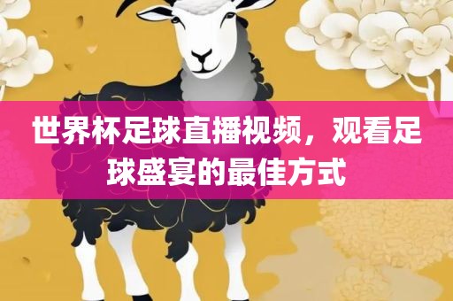 世界杯足球直播视频，观看足球盛宴的最佳方式