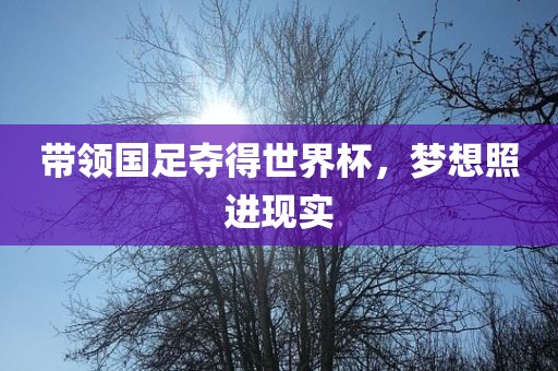 带领国足夺得世界杯，梦想照进现实