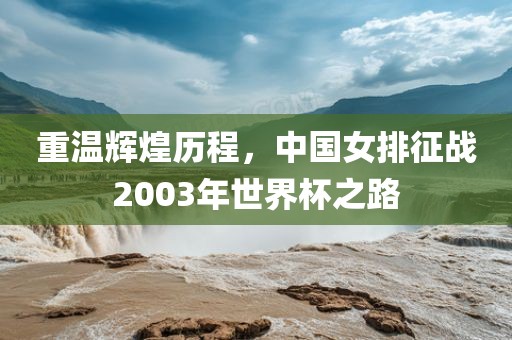 重温辉煌历程，中国女排征战2003年世界杯之路