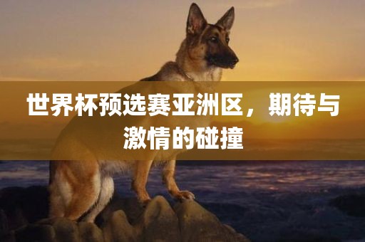 世界杯预选赛亚洲区，期待与激情的碰撞