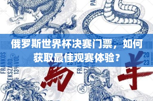 俄罗斯世界杯决赛门票，如何获取最佳观赛体验？