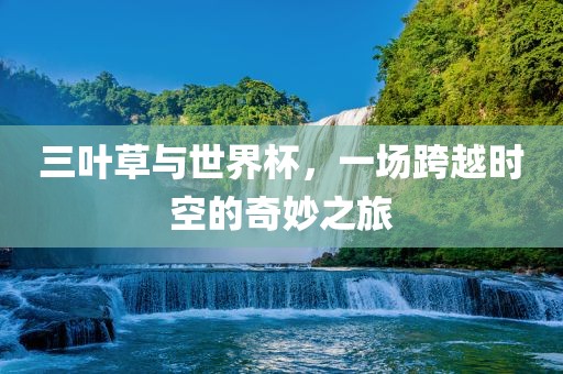 三叶草与世界杯，一场跨越时空的奇妙之旅