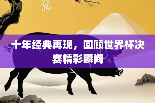 十年经典再现，回顾世界杯决赛精彩瞬间
