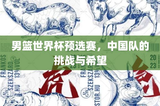 男篮世界杯预选赛，中国队的挑战与希望