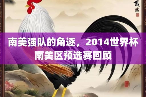 南美强队的角逐，2014世界杯南美区预选赛回顾