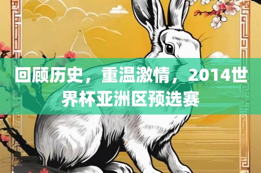 回顾历史，重温激情，2014世界杯亚洲区预选赛