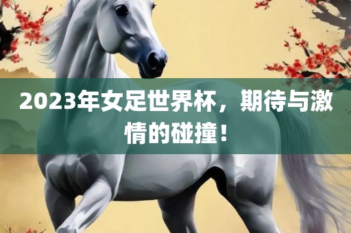 2023年女足世界杯，期待与激情的碰撞！