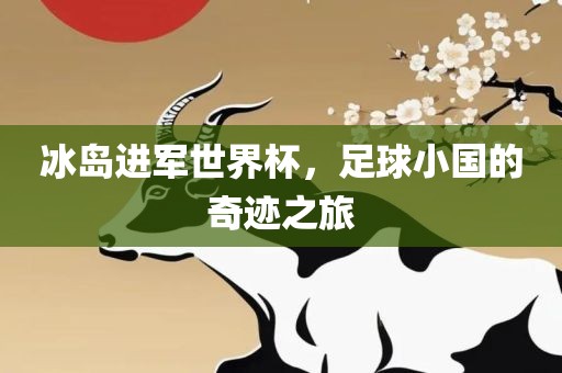 冰岛进军世界杯，足球小国的奇迹之旅