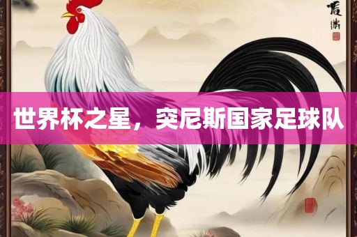 世界杯之星，突尼斯国家足球队