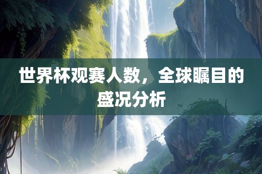 世界杯观赛人数，全球瞩目的盛况分析