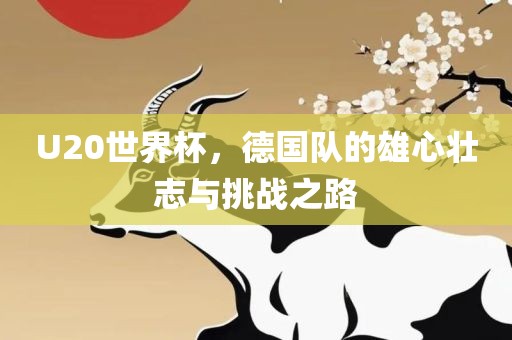 U20世界杯，德国队的雄心壮志与挑战之路