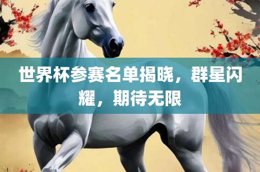 世界杯参赛名单揭晓，群星闪耀，期待无限