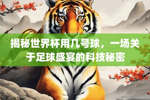 揭秘世界杯用几号球，一场关于足球盛宴的科技秘密