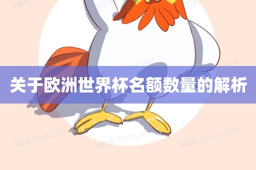 关于欧洲世界杯名额数量的解析