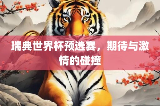 瑞典世界杯预选赛，期待与激情的碰撞